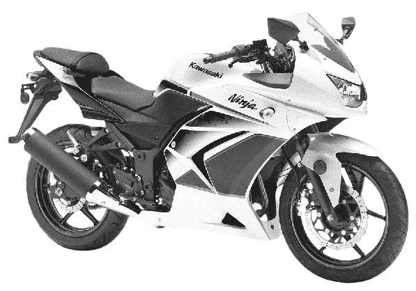 Ikon Ninja SS